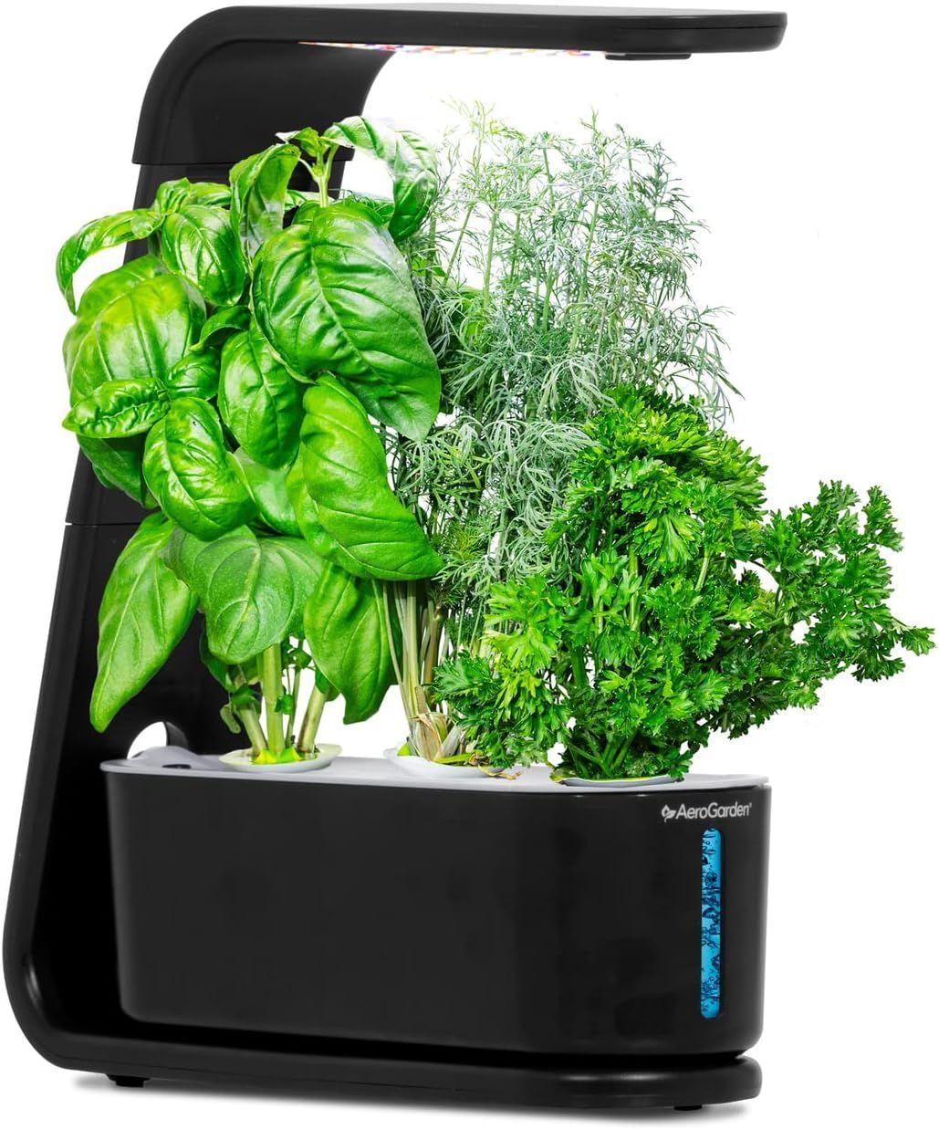 AeroGarden  Sprout with Gourmet Herbs Seed Pod Kit - Black - Excellent