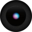 https://cdn.reebelo.com/pim/products/P-APPLEHOMEPOD/GRA-image-1.jpg