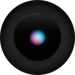 Apple HomePod 1st Gen - Space Grey