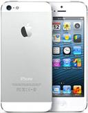 iPhone 5 16GB in Silver
