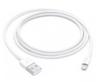 Apple Lightning to USB Cable (1M)