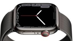 Apple Watch Series 7 (Cellular + GPS) - 32GB - 45mm - Graphite Stainless Steel Case with Graphite Stainless Steel Milanese Loop Band