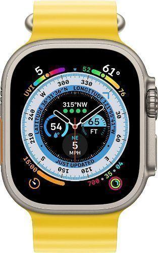 Apple Watch Ultra Titanium 49mm in Titanium in Premium condition