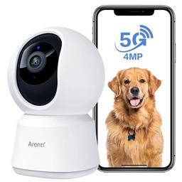 Arenti P2Q Wired Indoor Security Camera - White