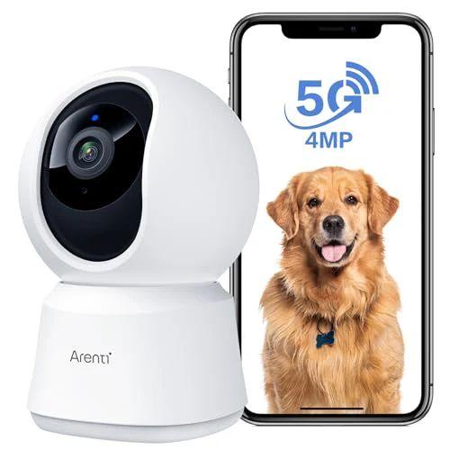 Arenti  P2Q Wired Indoor Security Camera - White - Excellent