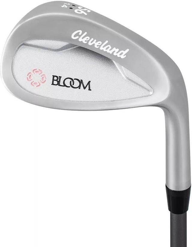 https://cdn.reebelo.com/pim/products/P-CLEVELAND2023BLOOMCOMPLETEGOLFSETGRAYBLUEW/GRA-image-6.jpg