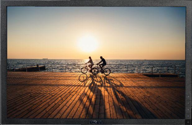 Dell E1910c Widescreen LCD Monitor 19" (No Stand) in Black in Excellent condition