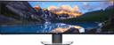 Dell UltraSharp U4919DW Curved IPS Monitor 49" in Silver