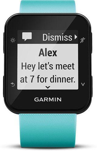 Garmin  Forerunner 35 Smartwatch - Slate Gray-Stainless Steel-Silicone Band-Frost Blue - Slate Gray - Stainless Steel - Frost Blue - Silicone Band - Silicone - Acceptable