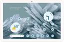 Google Pixel Tablet in Porcelain in Excellent condition
