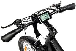 GoPowerBike GoEagle Electric Bike - Black