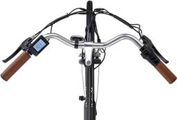 Hurley 36V 250W Electric City Bike (HE-02-NV-19)