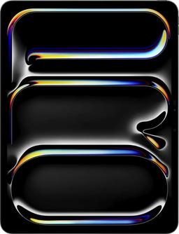 iPad Pro M4 (2024) - Standard display - 256GB - Cellular + WiFi - Space Black