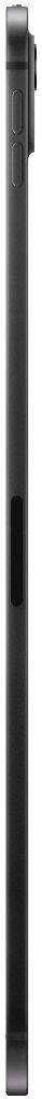 iPad Pro M5 (2025) - Standard display - 256GB - Cellular + WiFi - Space Black