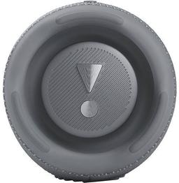 JBL Charge 5 Portable Bluetooth Speaker - Gray