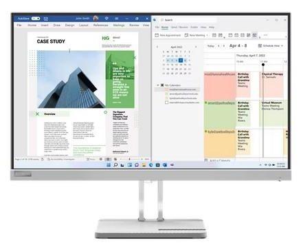 Lenovo  L25e-40 LED Monitor 25" - White - Excellent