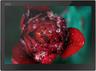 Lenovo ThinkPad X1 2-in-1 Tablet (Gen 3) 13.3" - 256GB - Intel Core i7-8650U 1.9GHz - 16GB RAM - Black