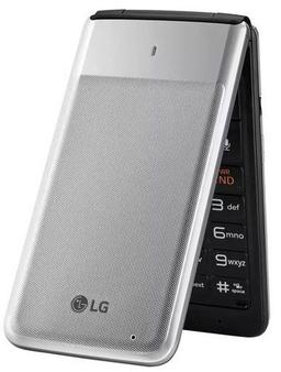LG Exalt VN220 - 8GB - Silver - Unlocked