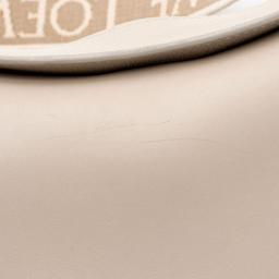 Loewe Satin Calfskin Jacquard Luna Small Bag - Calfskin - Beige