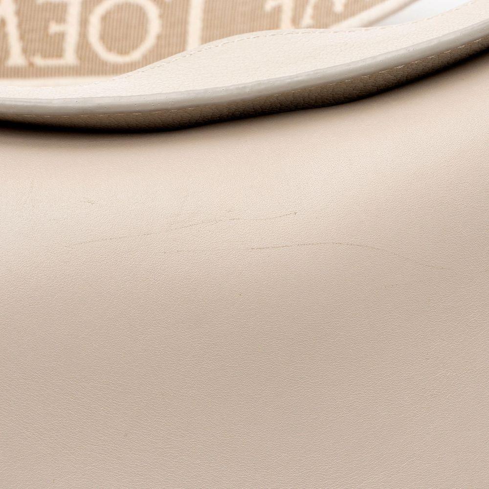 Loewe Satin Calfskin Jacquard Luna Small Bag - Calfskin - Beige