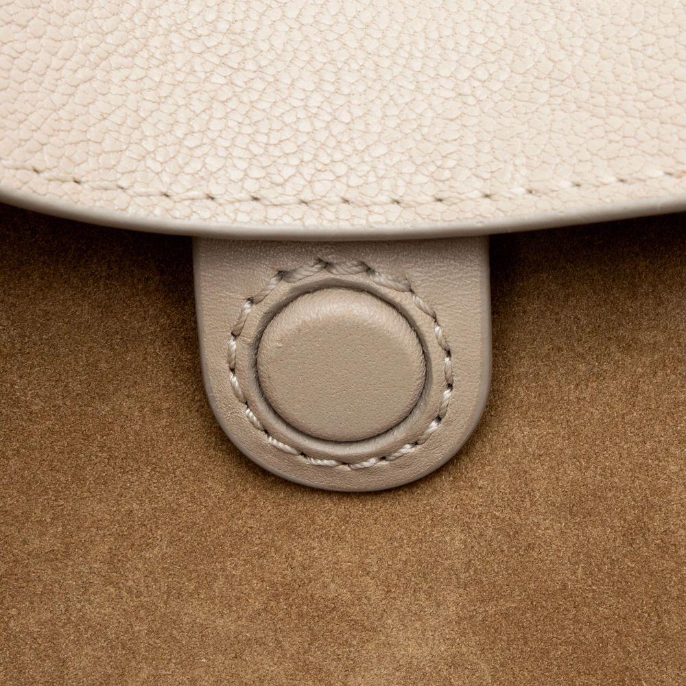 Loewe Satin Calfskin Jacquard Luna Small Bag - Calfskin - Beige