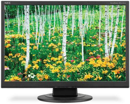 NEC  AS221WM LCD Widescreen Monitor 22" - Black - Excellent