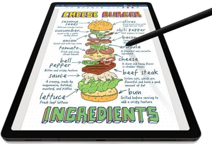 Galaxy Tab S9 (2023) 11-inch - 256GB - WiFi - Graphite