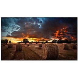 Samsung VM46B-U Video Wall Display Monitor 46" - Black - 46 Inch