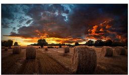 Samsung VM55B-U 55" Video Wall Display - Black