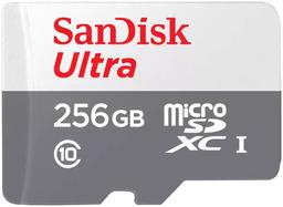 SanDisk Ultra microSDHC/SDXC UHS-I Card (Up to 100MB/s)