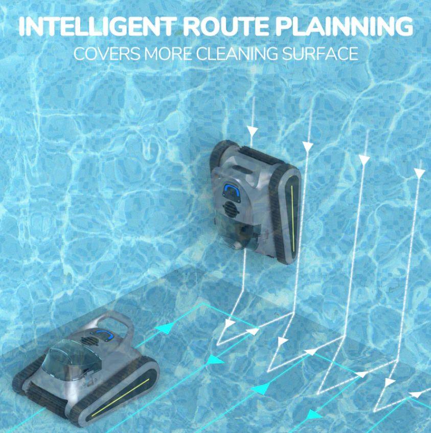 Seauto Crab Robotic Vacuum Pool Cleaner - Gray