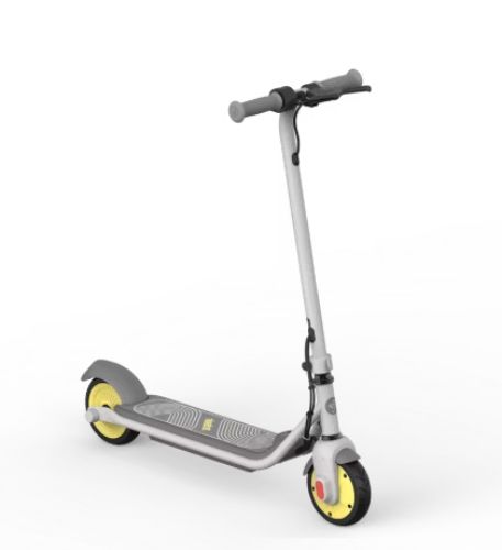 Segway Ninebot eKickScooter ZING C8