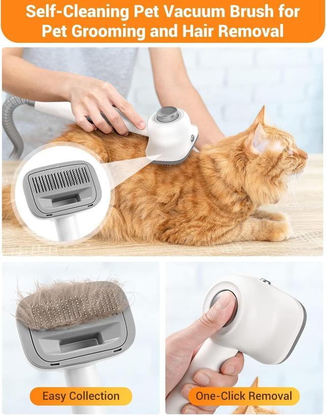 https://cdn.reebelo.com/pim/products/P-SIMPLEWAYV106IN1DOGGROOMINGVACUUMKIT/WHI-image-3.jpg