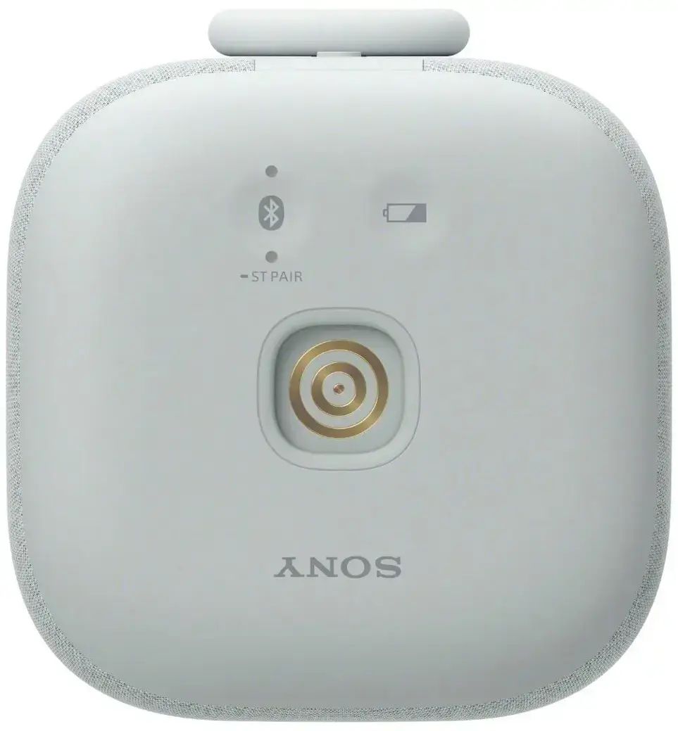 Sony LinkBuds Portable Wireless Speaker - Light Gray