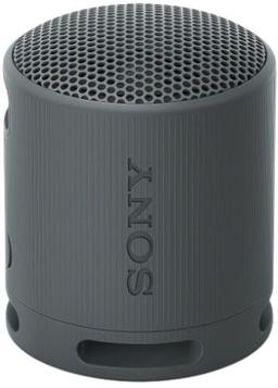 Sony SRS-XB100 Portable Wireless Speaker - Black
