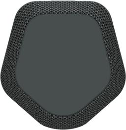 Sony XE200 X-Series Portable Wireless Speaker - Black