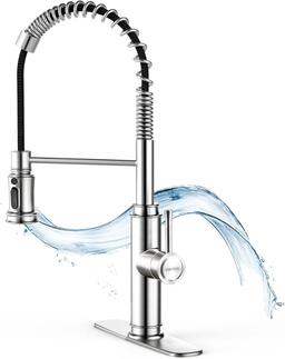 WaterSong Kitchen Sink Pull-Down Faucet WS062100BN - Stainless Steel