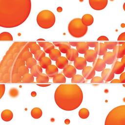 ZAGG Havana Series Phone Case for Apple iPhone 13 Pro - Black