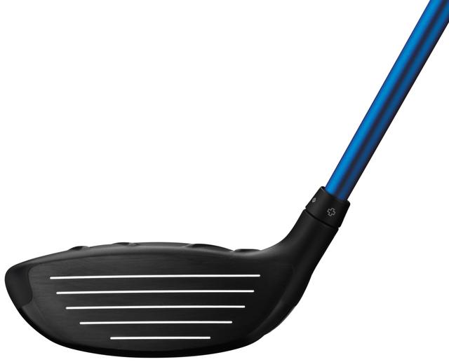 https://image.globalgolf.com/master/1029197/ani/club-face.jpg