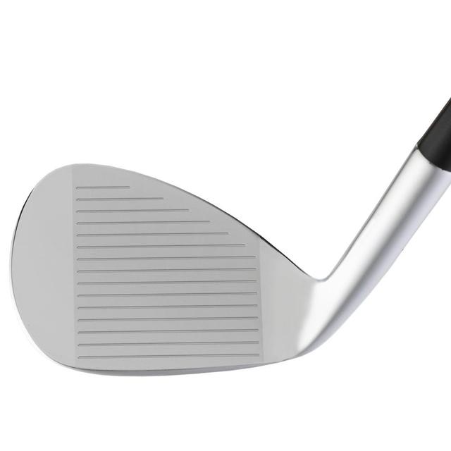 https://image.globalgolf.com/master/1053425/aaw/club-face.jpg