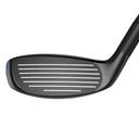https://image.globalgolf.com/master/1053430/abl/club-face.jpg