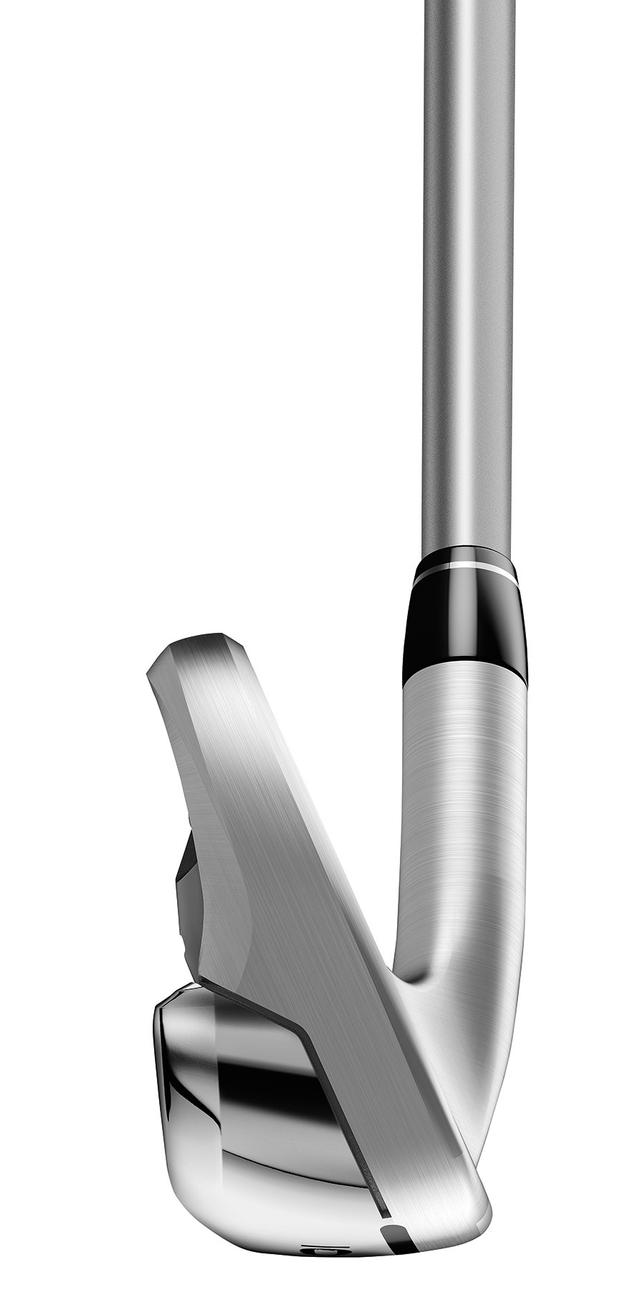 https://image.globalgolf.com/master/1058645/aae/toe-view.jpg