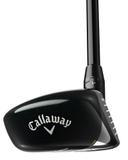 https://image.globalgolf.com/master/1059434/abc/toe-view.jpg