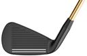 https://image.globalgolf.com/master/1059673/ace/club-face.jpg