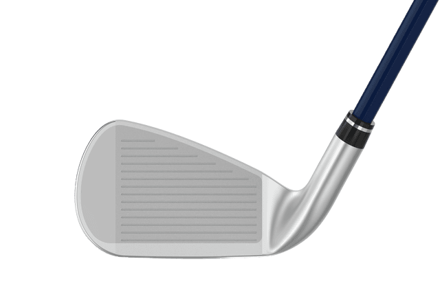 https://image.globalgolf.com/master/1061381/aab/club-face.jpg