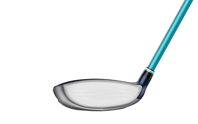 https://image.globalgolf.com/master/1061386/aaa/club-face.jpg