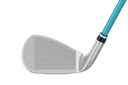 https://image.globalgolf.com/master/1061389/aaa/club-face.jpg