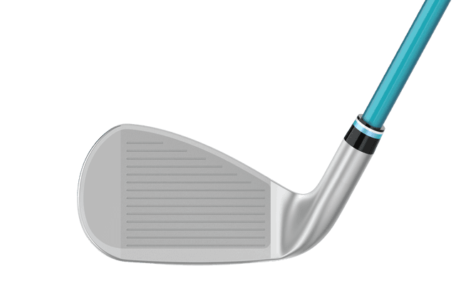 https://image.globalgolf.com/master/1061389/aaa/club-face.jpg