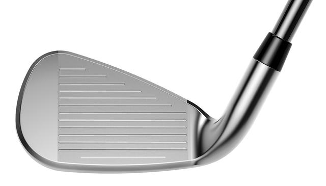 https://image.globalgolf.com/master/1061411/aaz/club-face.jpg