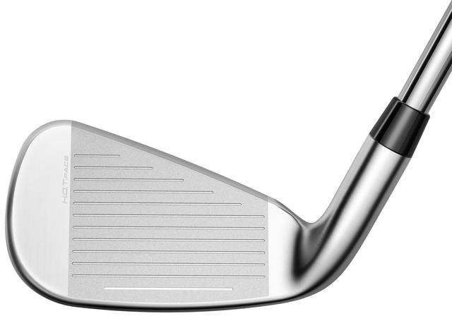 https://image.globalgolf.com/master/1065000/aae/club-face.jpg